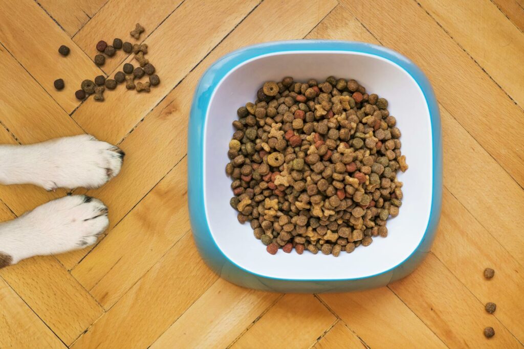 When searching for wet dog food in Malaysia, consider options that provide complete and balanced nutrition to support your dog's health.