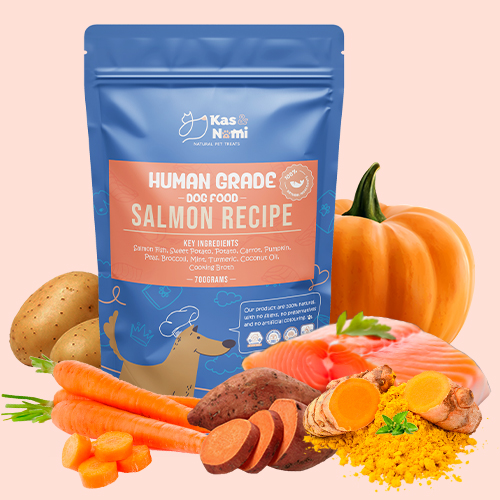 KasNomi Human Grade Salmon Recipe with fresh ingredients like salmon, sweet potato, and pumpkin for a balanced dog diet.